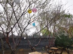 -三里河公园