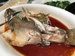 -马仕玖煲·融合菜·酥不腻烤鸭(人大店)