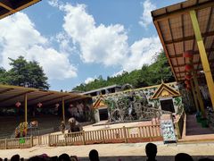 -贵州森林野生动物园