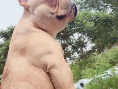 -东戴河风景区-止锚湾