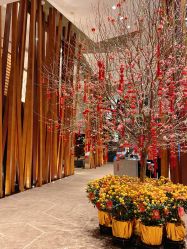 -广州富力君悦大酒店O SPA