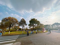 -艾溪湖湿地公园