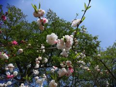 -上海市龙华烈士陵园