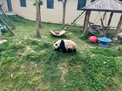 -石家庄市动物园