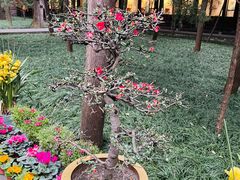 -成都武侯祠博物馆