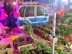 -中环花鸟鱼虫市场