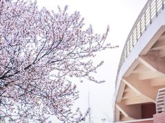 -西南民族大学南区(双流校区)