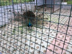 -陶祖圣境风景区