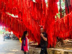 景点-西双版纳勐泐文化旅游区