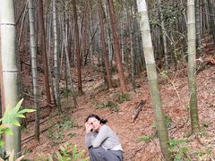 -杭州半山国家森林公园