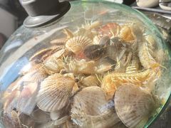 -仙螺岛海鲜自助餐厅(总店)