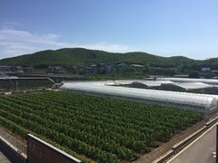 -大连北马山庄