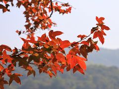 -广州市白云山风景名胜区