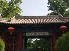 -大槐树寻根祭祖园