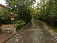-芭东小镇温泉