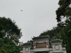 -深圳国际园林花卉博览园