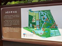 -西青郊野公园