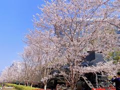 -新天地活力PARK