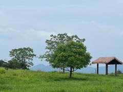 -良渚古城遗址公园