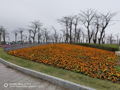 -芒洲湿地公园