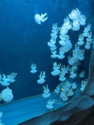 -Zoolung Zoolung动物主题公园(海信广场店)