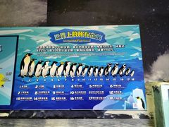 -帝企鹅自助餐厅•儿童岛•真企鹅(长隆企鹅酒店)