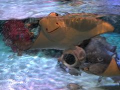 -沈阳海洋探索中心