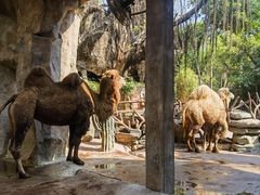 -长鹿旅游休博园