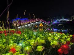 -大塘金香草谷