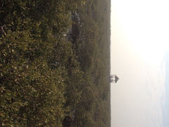 iphone_upload_pic-北海金海湾红树林生态旅游区