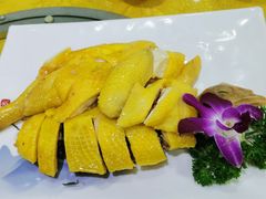 -茂港柏香(侨港路店)