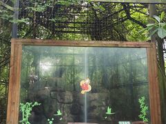 -海南热带野生动植物园