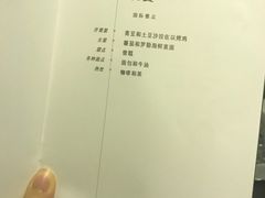 -新加坡航空公司(ION)