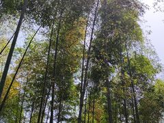 -善卷洞风景区