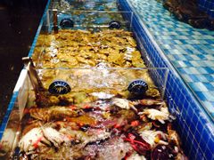 -蓝钻·国际美食海鲜自助百汇(西直门店)