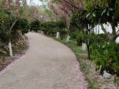 -石老人观光园