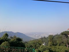 -南山植物园