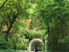 -深圳国际园林花卉博览园