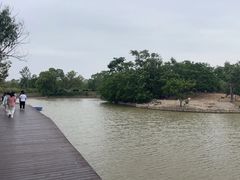 -盐城丹顶鹤湿地生态旅游区
