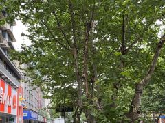 -宫廷糕点铺(建设路店)