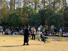 -上海长兴岛郊野公园