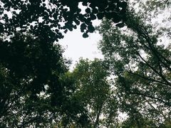 -T80科技文化国际社区-停车场