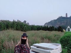 -南沙蒲洲花园