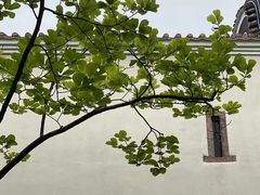 -碧江金楼