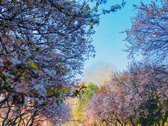 -山东师范大学(千佛山校区)