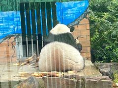 -苏州太湖国家湿地公园