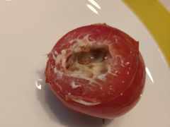 -潮上潮(南中环店)