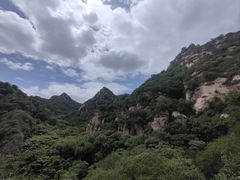 -大岭沟猕猴桃谷风景区