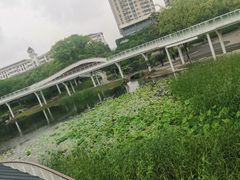 -昆山城市公园