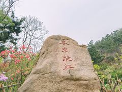 -青岛大珠山景区